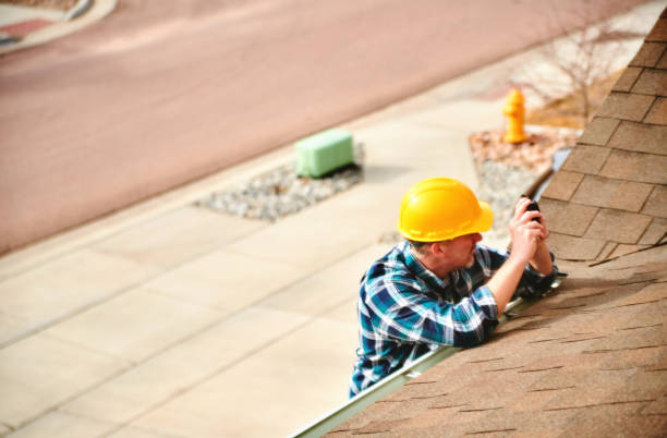 Best Roof Moss and Algae Removal  in Claremont, NH